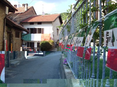 Alp-Boa-1.jpg