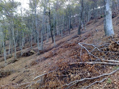 FOTO-4.jpg