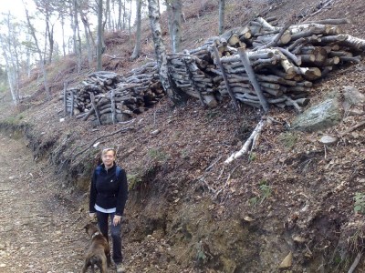 FOTO-3.jpg