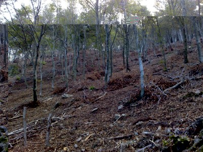 FOTO-2.jpg