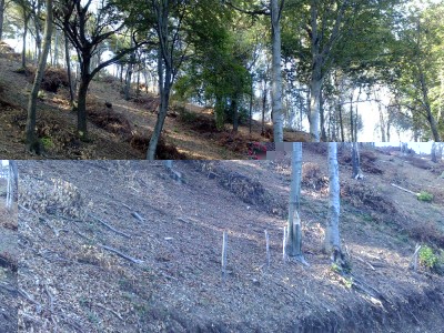 FOTO-1.jpg