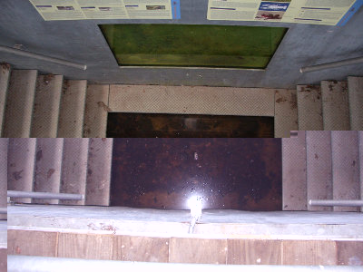 Vasca-1.jpg