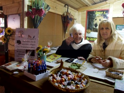 DSCF6546.JPG