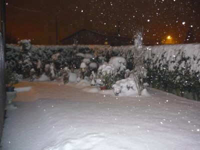 neve 21-22 dic 2009 012.jpg
