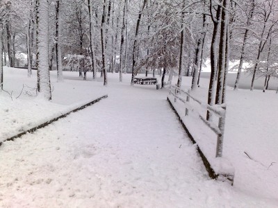 4-Ghirla-sponda.jpg