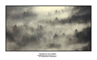 nebbia1.jpg