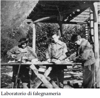 3-Laboratorio-di-Falegnamer.jpg