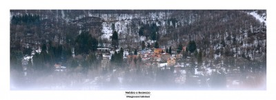 nebbiaaboa.jpg