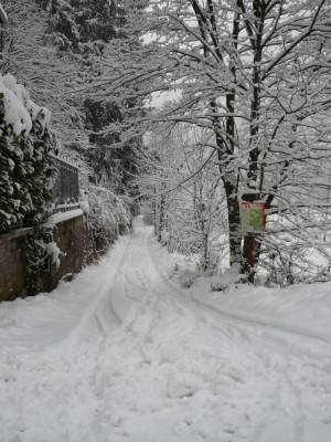 8-Ganna-verso-S.-Gemolo.jpg