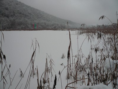 3-Ganna-palude.jpg