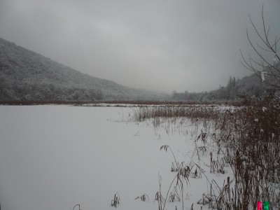 2-Ganna-palude.jpg