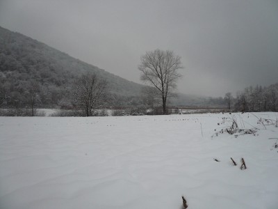 1-Ganna-palude.jpg