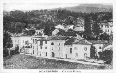 1954montegrinoviaallapineta.jpg