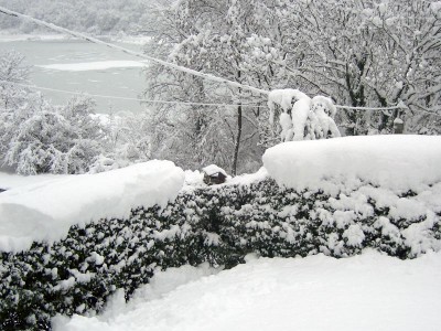 giardino.jpg