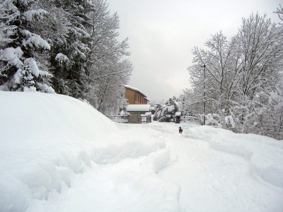 entrata.jpg