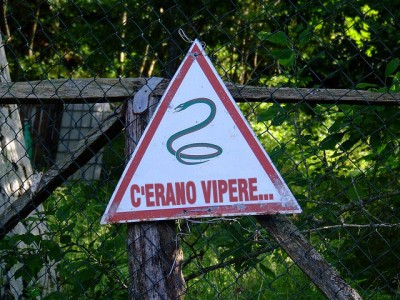 c'erano vipere.jpg