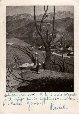 1956viconago-panorama.jpg