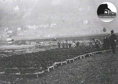 Estrazione Torba in Valganna 1918.jpg