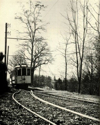 Tram alle Cappelle anni 50.jpg