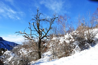 scenari di neve2.jpg