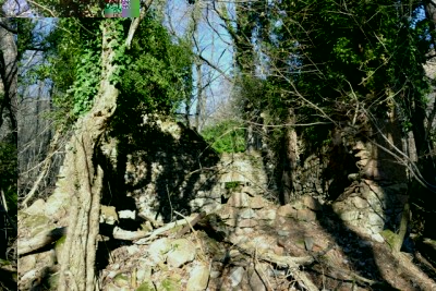 Ruderi della casa del custode.