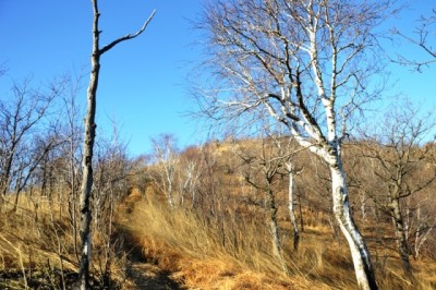 Il sentiero del crinale che porta in Valganna.
