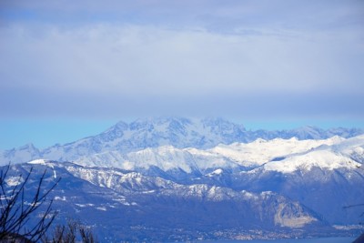 Il Rosa.