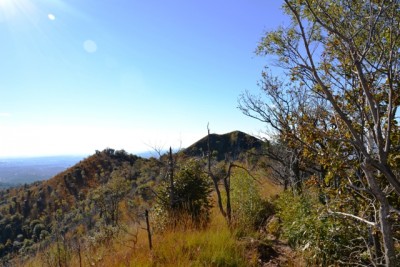 Fuori strada.