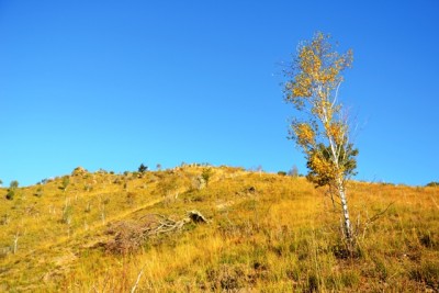 Salendo dalla val Castellera.