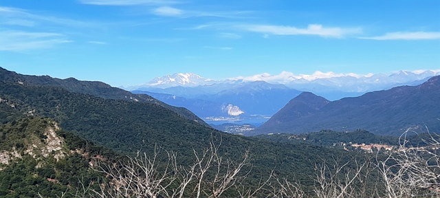 Il Rosa e il lago Maggiore