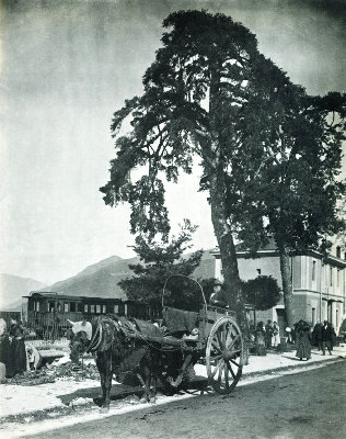 stazione Luino - Ponte T..jpg