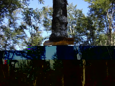 DSC02040.jpg