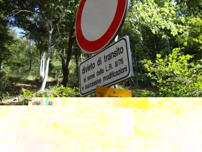 DSC02038.jpg