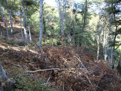 DSC02018.jpg