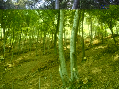 DSC02014.jpg